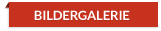 Bilder Galerie