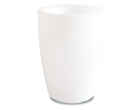 Shining Star Weiß und Rot 