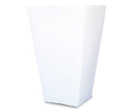 Shining Star Weiß und Rot 