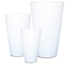 Shining Star Weiß und Rot 