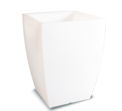 Shining Star Weiß und Rot 